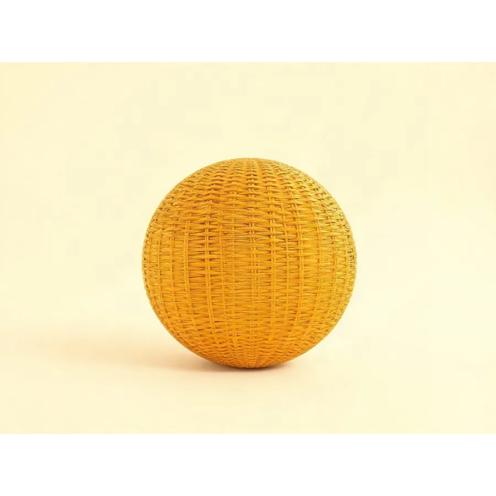 Pièce détachée Galet — Plein Vent